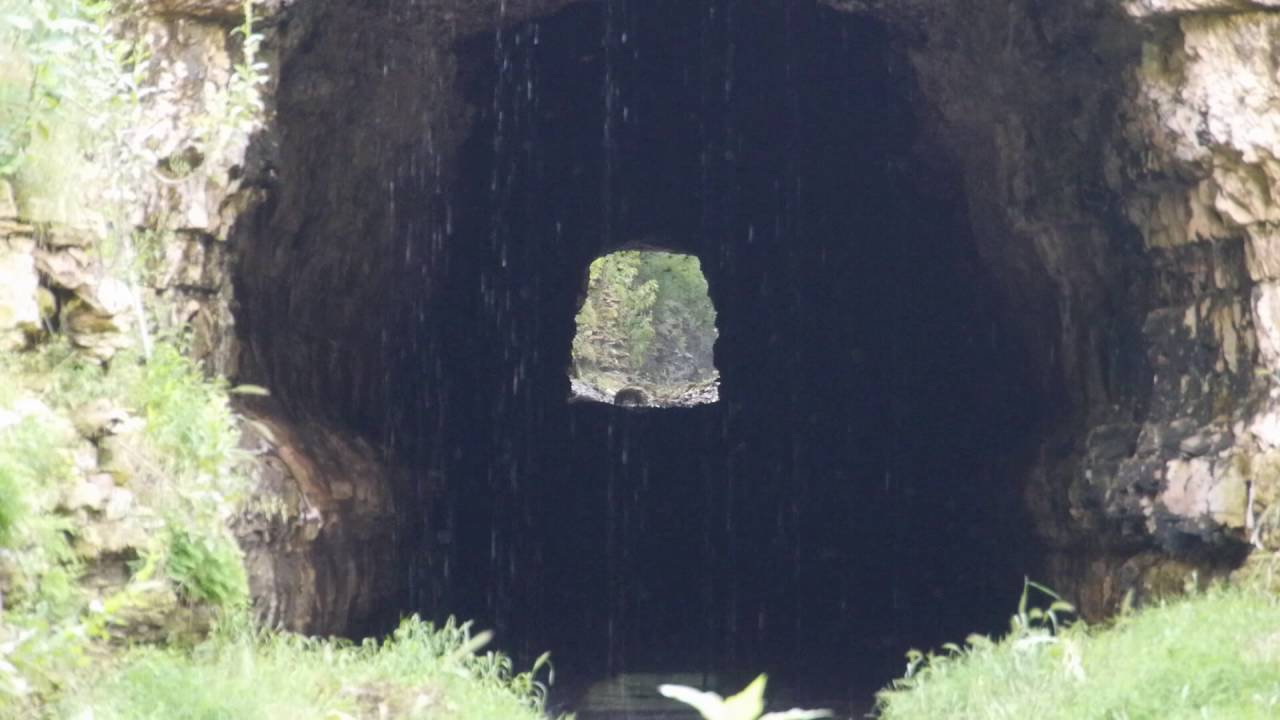 THE BAT CAVE Old Tunnel State Park , Waring Texas, Mexican freetailed