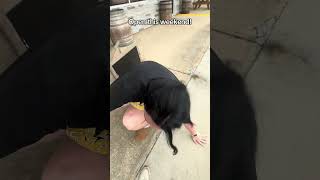 OPEN THIS WEEKEND!
#bourbonhumor #whiskeylaughs #funnybourbontok #BK #whiskeymemes #bourbonantics #sippinandsmackin #bourbonbanter #comedyandbourbon #funnywhiskeyvibes #bourbonfails #Barrelking #bourboninbourbon #perfectcut #bourbontokfunny OPEN THIS WEEKEND!