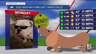 Dog-walking forecast (May 19, 2025)