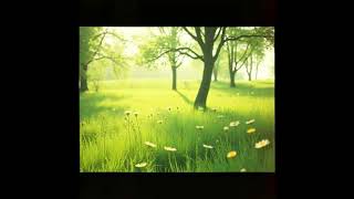 Do What Is Right - LDS Hymn - Hymns from the Shire