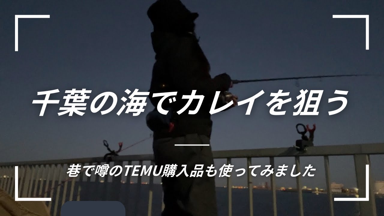 【千葉港】カレイが釣りたい！釣れないのを覚悟で挑戦！〜Temu購入品も紹介！〜