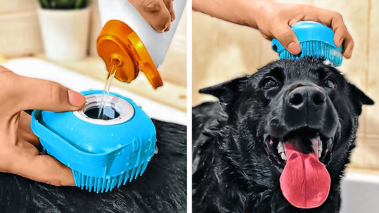 Cute And Useful PET Gadgets And Hacks