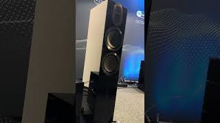 REL subwoofer doing work and Monitor Audio Gold 500 6G #audiophile #subwoofer #basstest #hifi