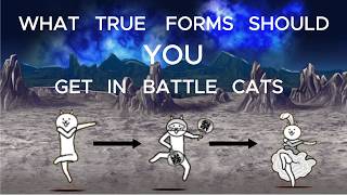 What true forms should you get first in Battle Cats