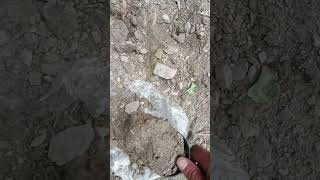 Paydirt Prag ? wieviel Gold findet man in 1 kg bedrock?
