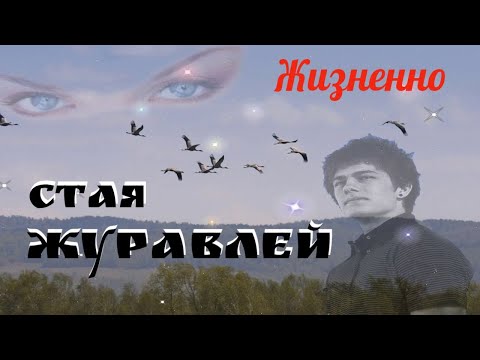 Песня просто КЛАСС! Жизненно! Послушайте не ПОЖАЛЕЕТЕ! Стая Журавлей!