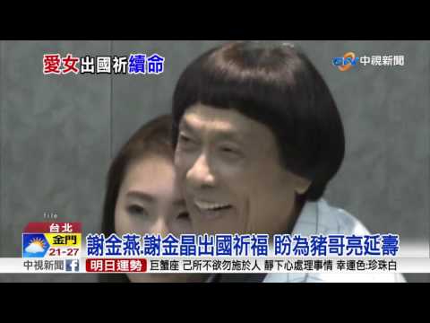 謝金燕.謝金晶出國祈福 盼為豬哥亮延壽│中視新聞 20170506