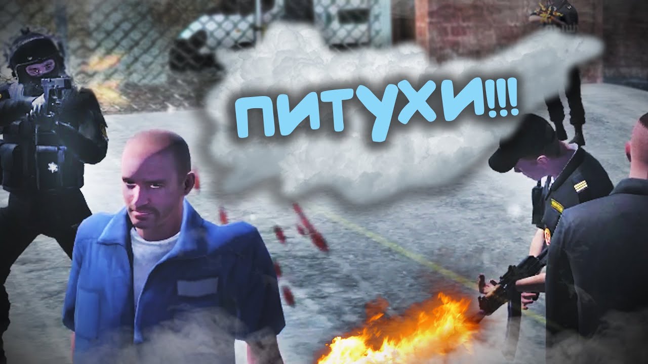 Побег из курятника машина