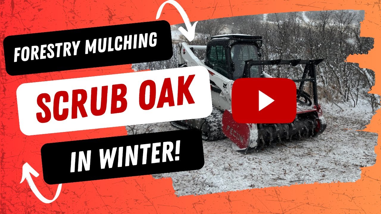 FORESTRY MULCHING SCRUB OAK IN THE MIDDLE OF WINTER!