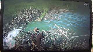 MongoTV_22500 - Red Dead Redemption 2- Part 1121 -TALK-Follow Kamassa River North-Sunday-Day 31