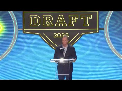 Vídeo: San Diego Chargers Anfitrião “Dog Draft” para abrigar filhotes que precisam de um “time” para sempre