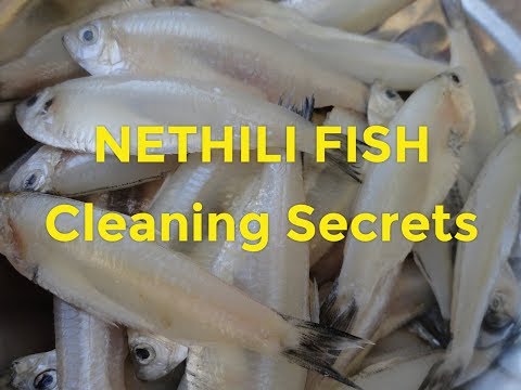 How to Clean Nethili Fish / Anchovy