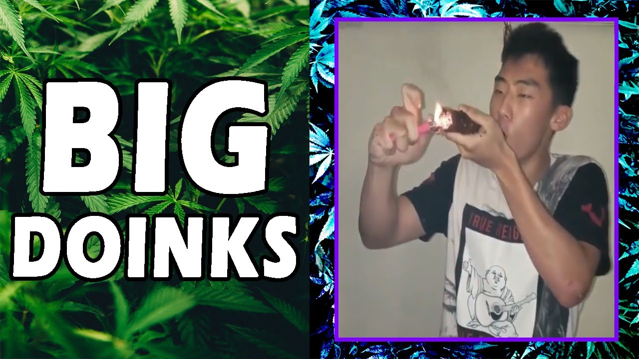 WEED MEMES & Fail Compilation [#97] - Fatally Stoned