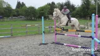 Cimi Jumping 210513 Up To 1.10M