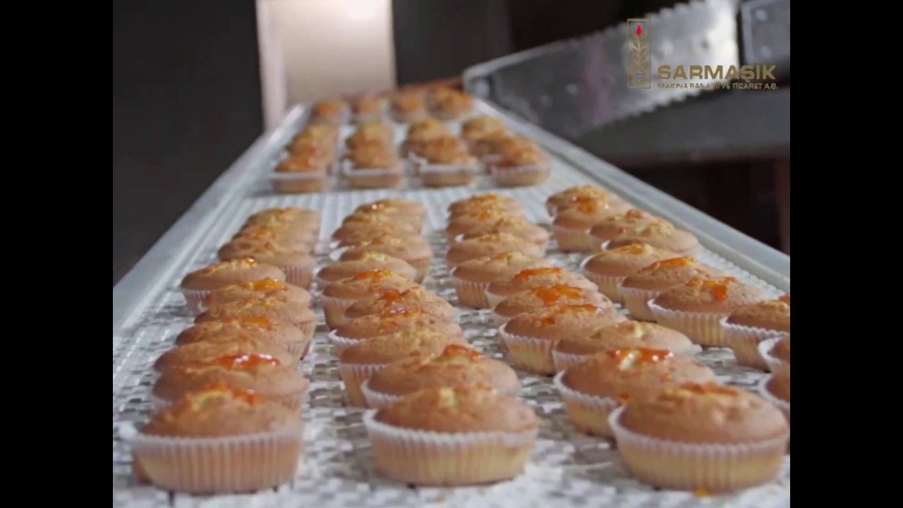Sarmaşık Automatic Tunnel Oven Cupcake Line
