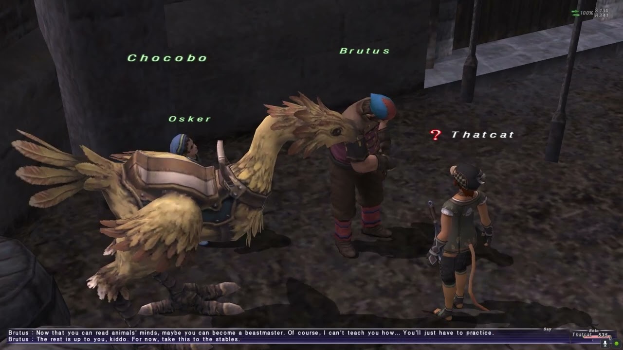 Final Fantasy XI Guide to Chocobo License and Mounts - YouTube