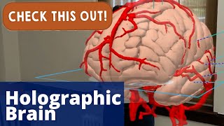 Holographic brain | Check This Out!