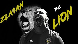 Lion - A Zlatan Ibrahimovic Tribute