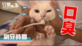 【豆漿  SoybeanMilk】是口臭　我加了口臭.......