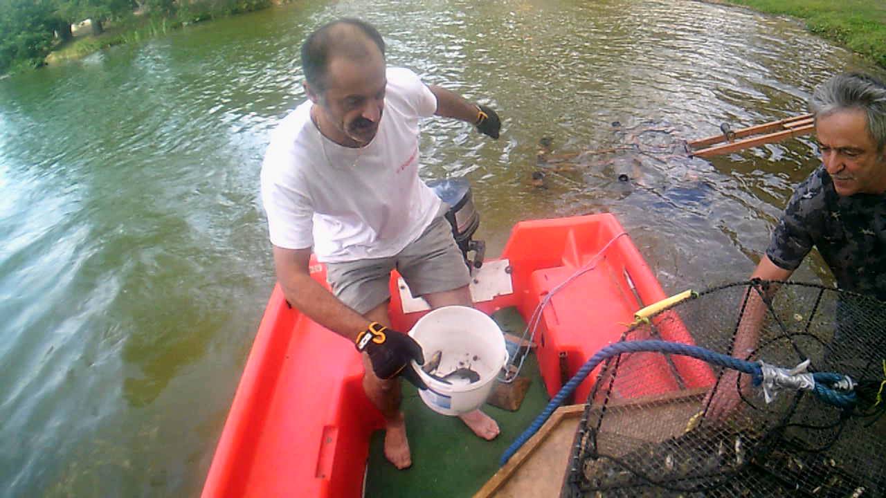 peche aux poissons chat 140kg ce soir YouTube