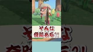 【#ACNH】 A miracle happened while trying to complete my fish collection⁉️✨ #AnimalCrossing #Animal...