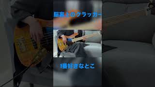 脳裏上のクラッカー/ずっと真夜中でいいのに。弾いてみた kau-おかゆ_ベース弾いてみた
