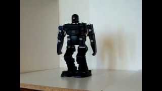 Robophilo Motions