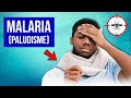 Malaria paludisme  symptmes et traitements