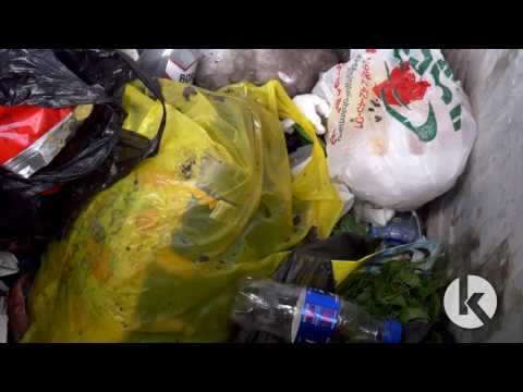 ოცნება სუფთა თელავზე