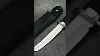 Have you heard about this Japanese Styles SAMURAI TANTO Katana Fixed Blade Hunting Knife ?