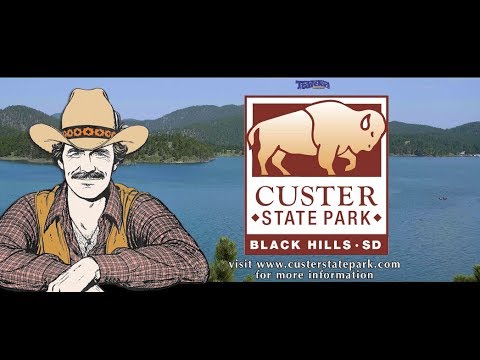 Video: Buffelvisning I South Dakota, Custer State Park