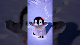 Dil Mera Senti Hai 🫀🎀 #song #love #emotional #whatsappstatus #penguin #viral | Urmii Vermaa.