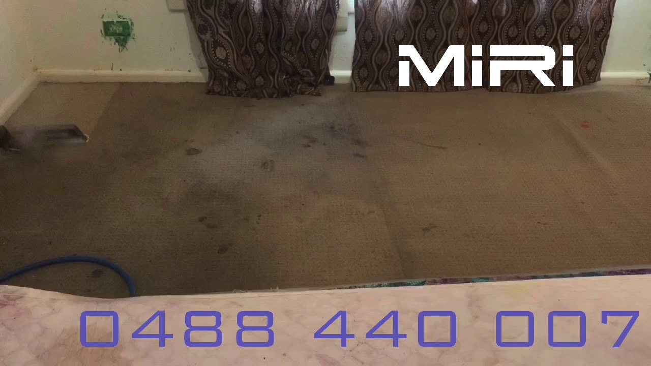 Derry carpet steam cleaning YouTube