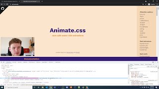 Using Animate.css and custom CSS in Perspective
