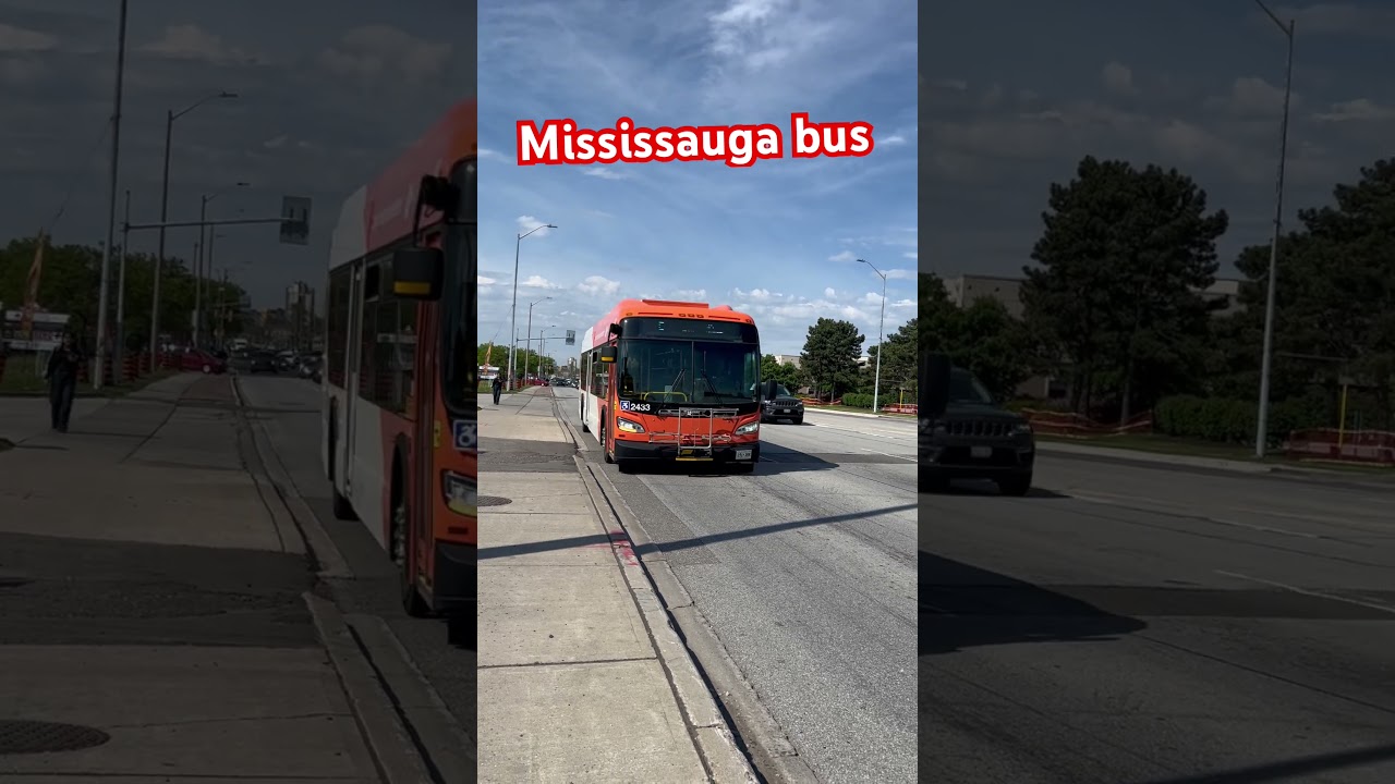 Bus in Mississauga 