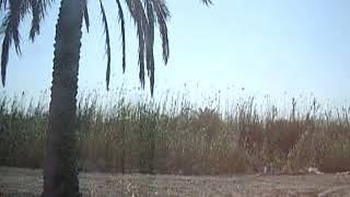 IMGP0095