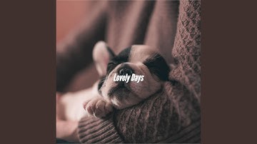 Lonely Backdrops for Amusing Days