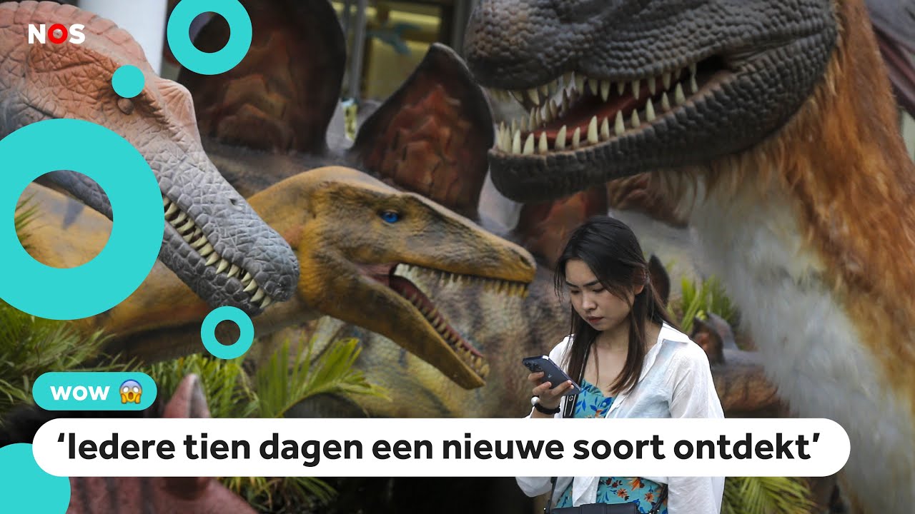 Hoeveel dinosoorten waren er vroeger? - YouTube