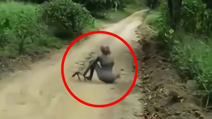 UNBELIEVABLE Scary Videos That'll Terrify You! - DayDayNews