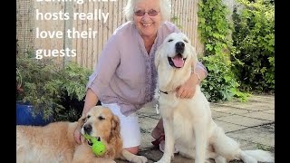 We need you! @BarkingMadTina talks about dog hosts