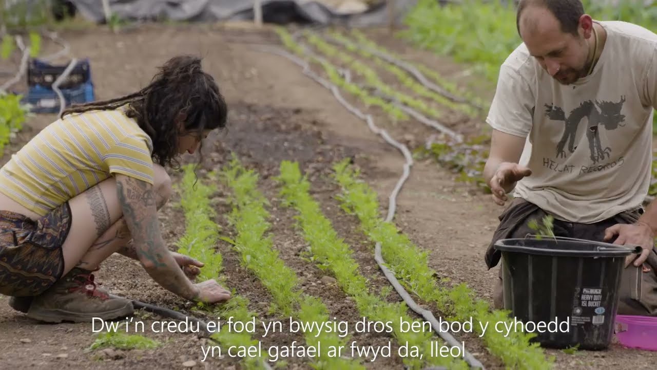 Foothold Fruit and Vegetable Hub