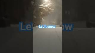 heaviest snow in NY since Jan 2022 #snow #snowstorm #franksinatra
