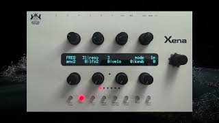 MICHIGAN SYNTH WORKS XENA 6