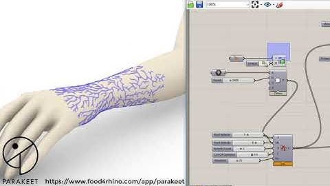 Simulation of Leaf Venation Patterns(Or Growth Patterns) on a mesh ; using Parakeet