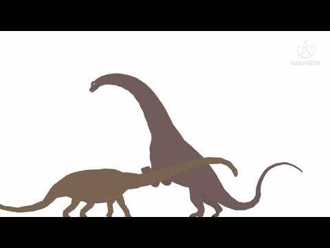 barosaurus vs alamosaurus