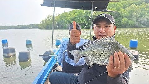 Câu Cá Tráp, Cá Nâu, Cá Ngát cùng Sông Nước Cần Giờ - Châu Huỳnh.