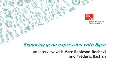 Exploring gene expression with Bgee v14