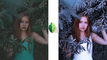Snapseed Blue and Black Photo Editing | Snapseed Background Color Change