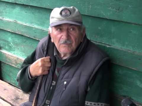 ქვაბისხევსა და დვირში საშეშე მერქნის პრობლემის მოგვარებას ითხოვენ