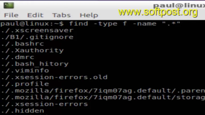 How to find all hidden files using find command in BASH shell terminal